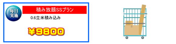 �����p�i